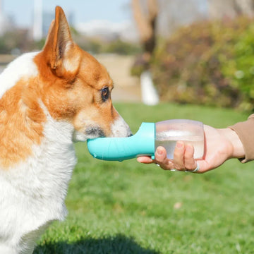 Portable Dog Water Bottle – Leakproof Travel Pet Dispenser with Built-in Bowl for Hiking & Outdoor Use